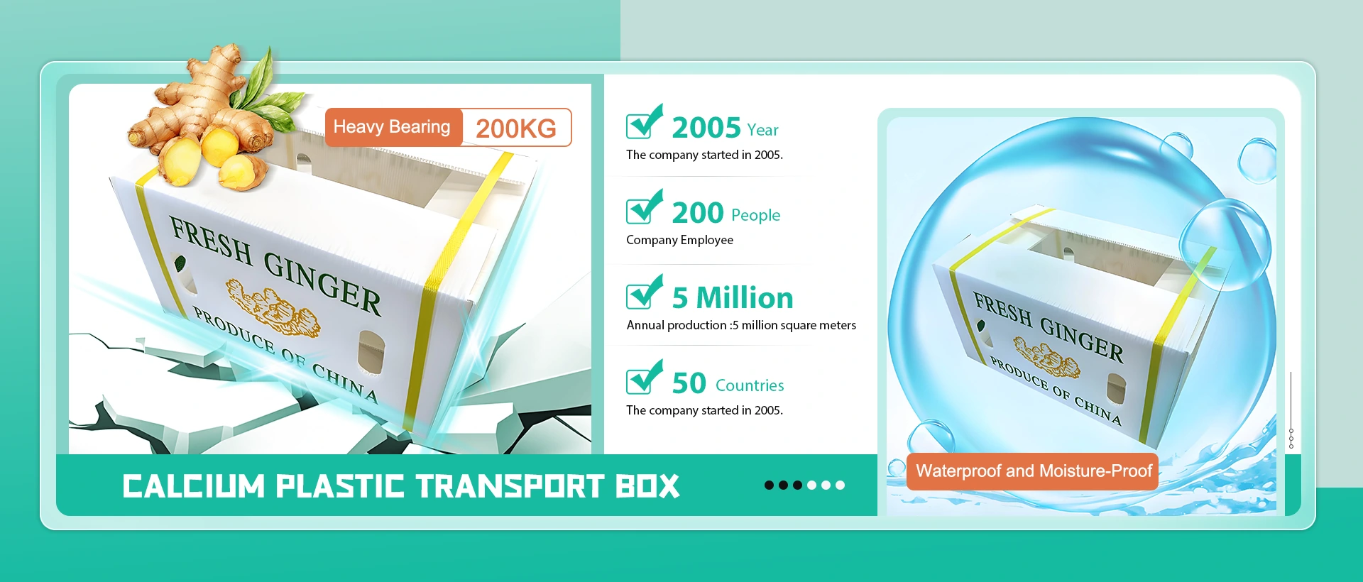 تولید کننده جعبه حمل و نقل پلاستیک کلسیم چین