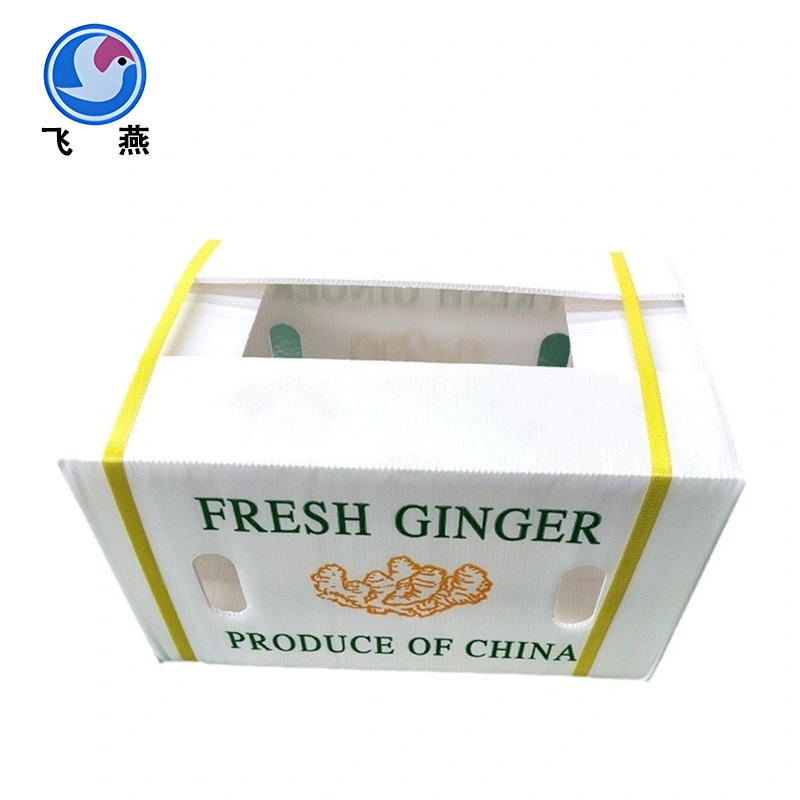 چگونه می توان یک جعبه تازه نگهدارنده سبزیجات PP آشپزخانه شما را تغییر داد؟